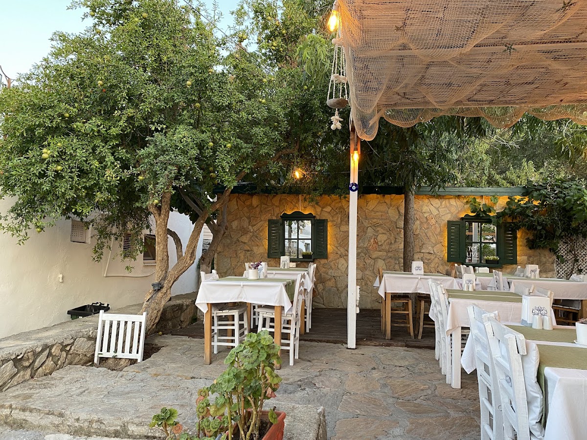 To Live Restaurant-4